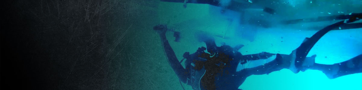 Cavitcleaner Hull Cleaning