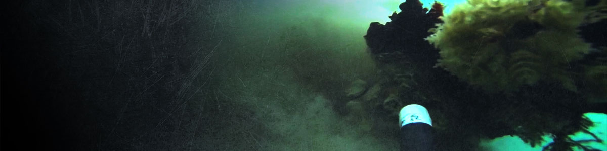 Cavitcleaner Yacht and Sailing Boat Cleaning